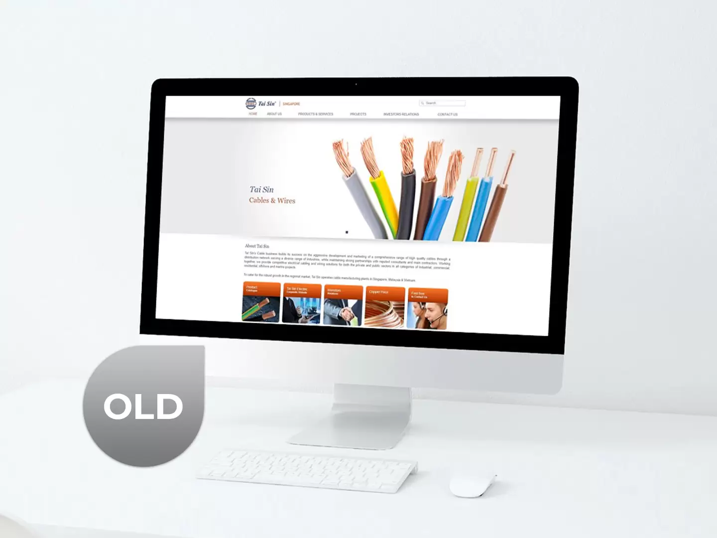 Taisin-Old-Website.jpg Taisin-Old-Website.jpg