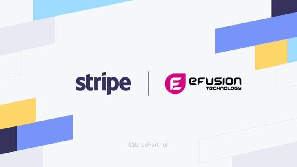 stripe efusion partnership