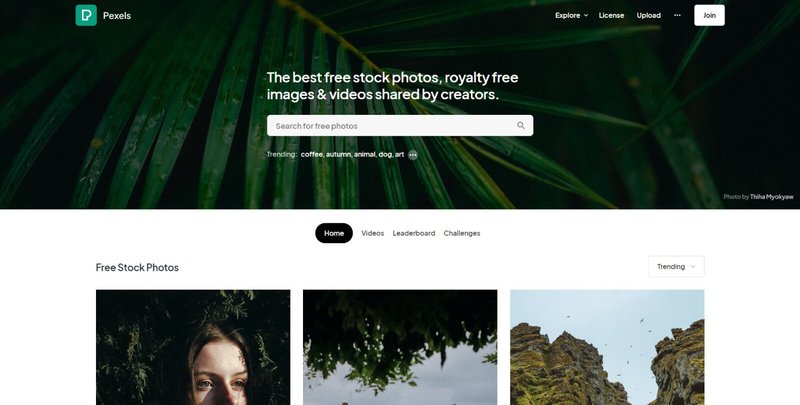 top free stock photo websites pexels