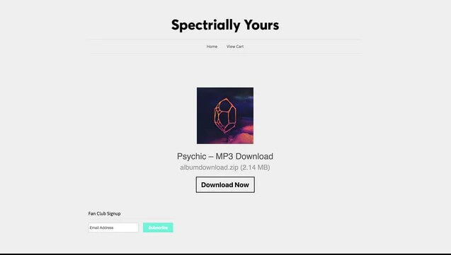 Shopify digital products