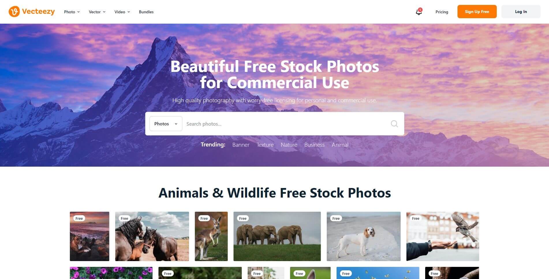 top stock photo websites vexteezy