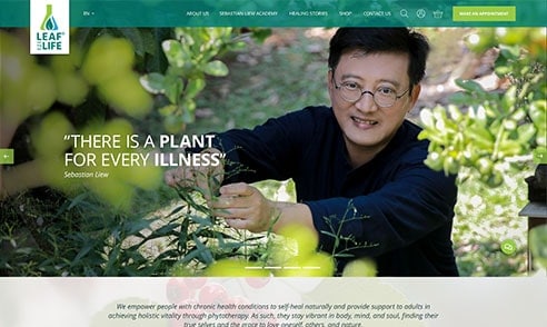 Leaf To Life