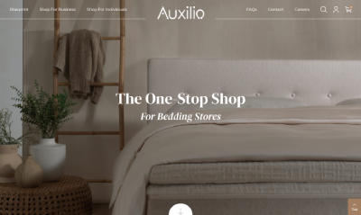 Auxilio