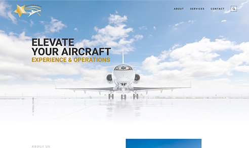 Gold Star Aviation (2024)